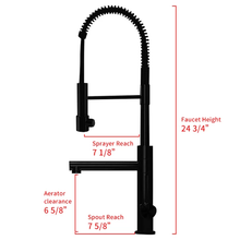 Charger l'image dans la galerie, Kitchen Faucet Spring Arc Kitchen Faucet with Sprayer Bass Pull Down Black and Gold Kitchen Faucet