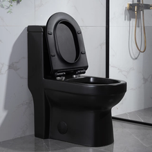Cargar imagen en el visor de la galería, Modern Black Matte Water Closet – Sleek & Stylish