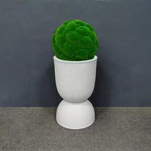 Load image into Gallery viewer, Indoor balcony bonsai Garden Planter pot vertical Flower Pots for Outdoor Set