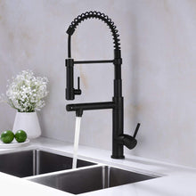 Charger l'image dans la galerie, Kitchen Faucet Spring Arc Kitchen Faucet with Sprayer Bass Pull Down Black and Gold Kitchen Faucet