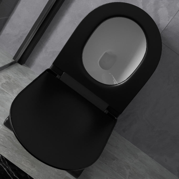 Black toilet bowl discount