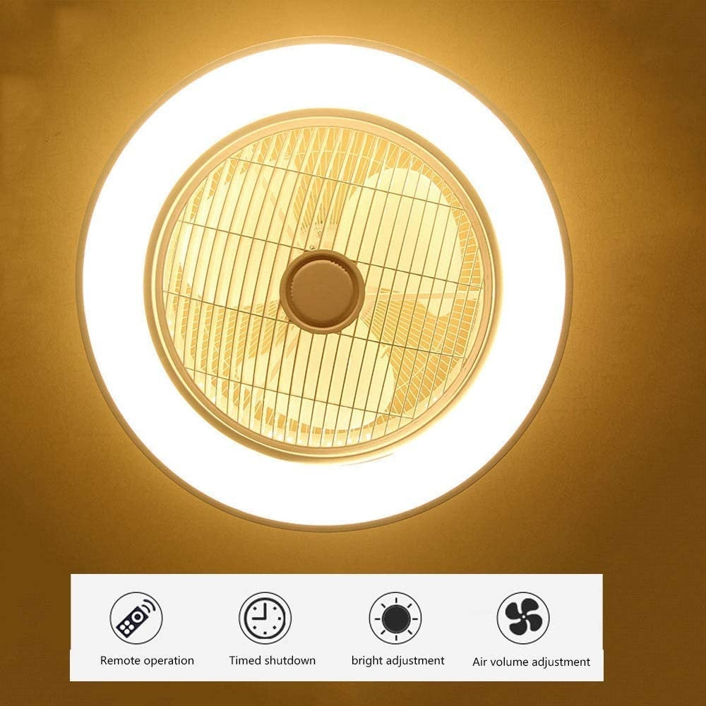 Ceiling Fan with Lights