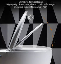 Load image into Gallery viewer, Washdown Floor Mounted Toilet Porcelain Toilet With Soft Closing Seat