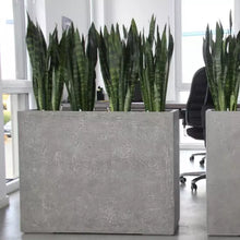 Load image into Gallery viewer, Nordic Fiberglass Flower Pots Large Outdoor Balcony Rectangular Flower Planters Shopping Mall Set Flower Boxes