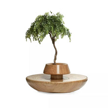 Load image into Gallery viewer, P846 Fiberglass Flower Tree planter chair customized modern furniture plastic garden chairs for outdoor