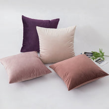 Load image into Gallery viewer, Factory wholesale cheap decorative throw pillow cover pink cushion covers velvet brown pillows cover for sofa living room