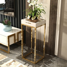 Load image into Gallery viewer, Stainless steel flower frame indoor balcony frame light luxury living room modern minimalist black flower stand