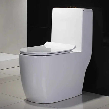 Modern One-Piece Floor Mounted Toilet – Dual Flush Porcelain Sanitary Ware with Siphonic System