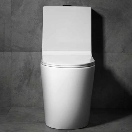 Modern One-Piece Floor Mounted Toilet – Dual Flush Porcelain Sanitary Ware with Siphonic System