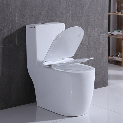 Modern One-Piece Floor Mounted Toilet – Dual Flush Porcelain Sanitary Ware with Siphonic System