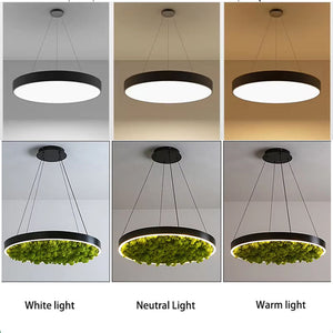 Unique RGB Dimmable LED Ceiling Light – Modern Round Chandelier with Moss Decoration for Restaurants & Cafes