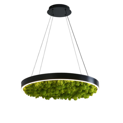 Unique RGB Dimmable LED Ceiling Light – Modern Round Chandelier with Moss Decoration for Restaurants & Cafes