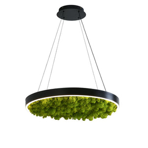 Unique RGB Dimmable LED Ceiling Light – Modern Round Chandelier with Moss Decoration for Restaurants & Cafes