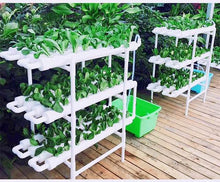 Lade das Bild in den Galerie-Viewer, Hydroponics Nft System with 36/54/72/108 Holes Kits,Vertical Hydroponic Growing Systems PVC Tube Plant Vegetables
