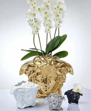 Lade das Bild in den Galerie-Viewer, Electroplated Medusa Versace Indoor Flower Vase
