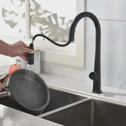 Single Handle Stainless Steel Matte Black Kitchen Faucet