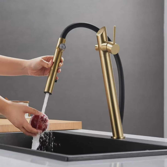 Elegant Single-Hole Kitchen Faucet with Pull-Out/Down Rotation Function