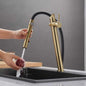 Elegant Single-Hole Kitchen Faucet with Pull-Out/Down Rotation Function
