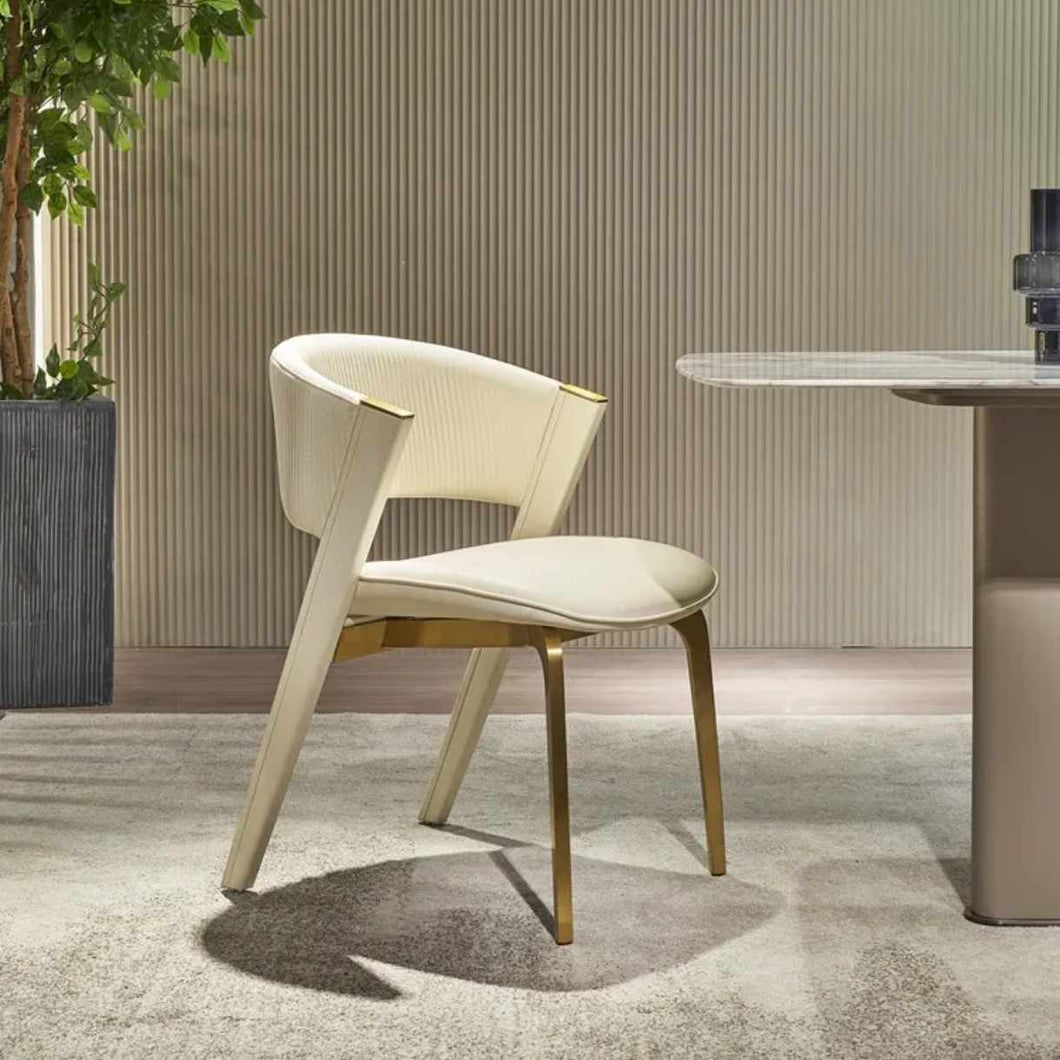 Modern Dining Chair with Stainless Steel Legs