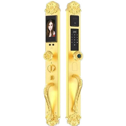 Golden Deluxe Türschloss mit Fernbedienung, 3D-Gesichtserkennung, automatischem Doppeltürschloss 
