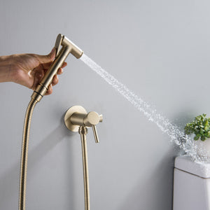 Bidet Spray Gun Set Chrome/Brushed Gold Plated Brass Body Bathroom Toilet Washing Faucet