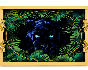 Collection image for: Trays