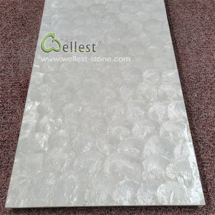 Gray marble tile with 'Wellest' branding on a brown textured background