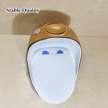 White Ceramic Golden Fram Toilet Dual Flush Extended Integrated Structure Floor Lavatory Toilet Hotel Sanitary Toilet