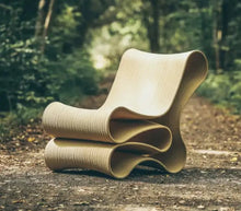 Cargar imagen en el visor de la galería, Nordic Designer Modern Special-Shaped Chair Design Glass Fiber Back Chair
