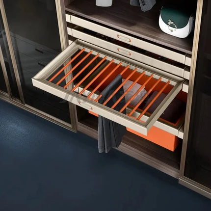 Minimalist Design Wardrobe Hardware Pull Out