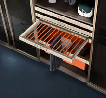Load image into Gallery viewer, Minimalist Design Wardrobe Hardware Pull Out
