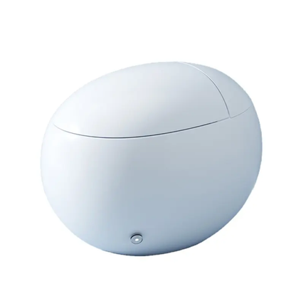 Round white object with a small button on a white background