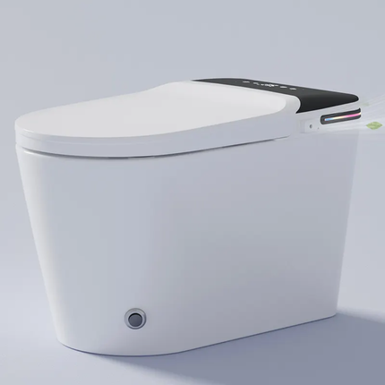 Modern toilet with a bidet attachment on a light gray background
