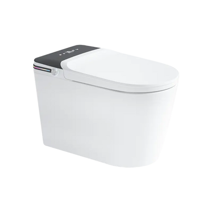 White toilet bowl with black lid on a white background