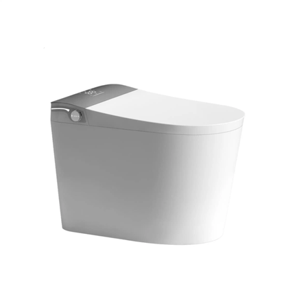 White and gray toilet on a white background