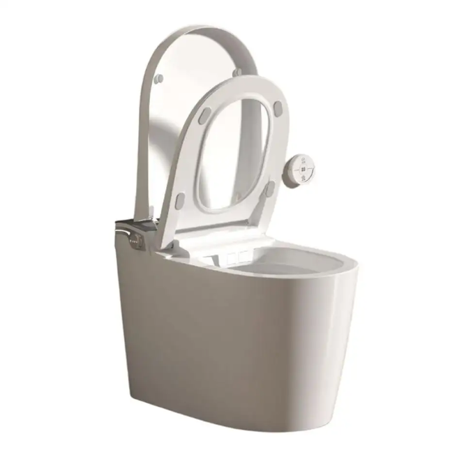 Gray toilet with open lid on a white background