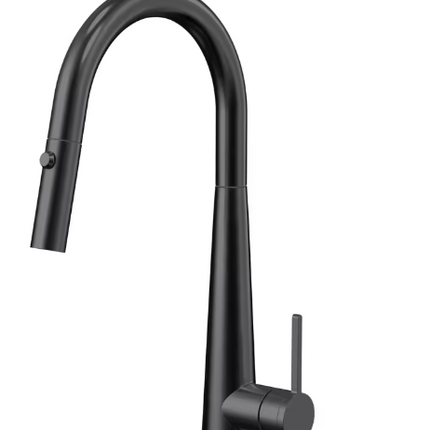 BlackPull Out Kitchen Faucet 304 SS Kitchen Mixer Goose Neck