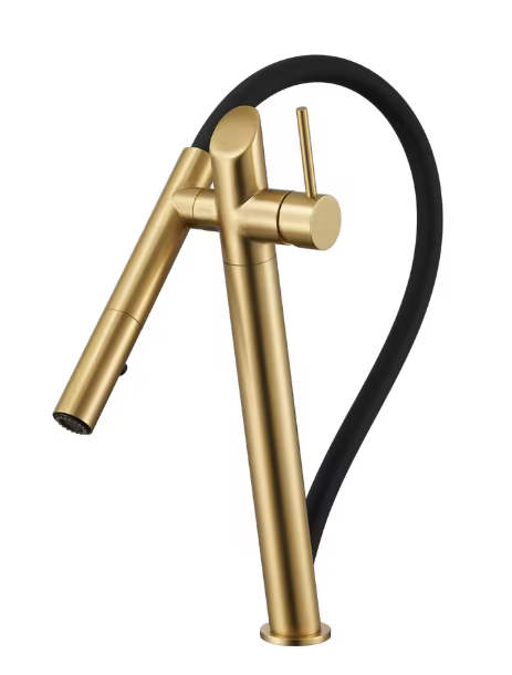 Elegant Single-Hole Kitchen Faucet with Pull-Out/Down Rotation Function