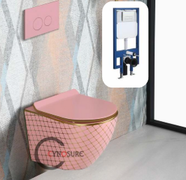Modern Design Toilet One Piece Pink And Gold