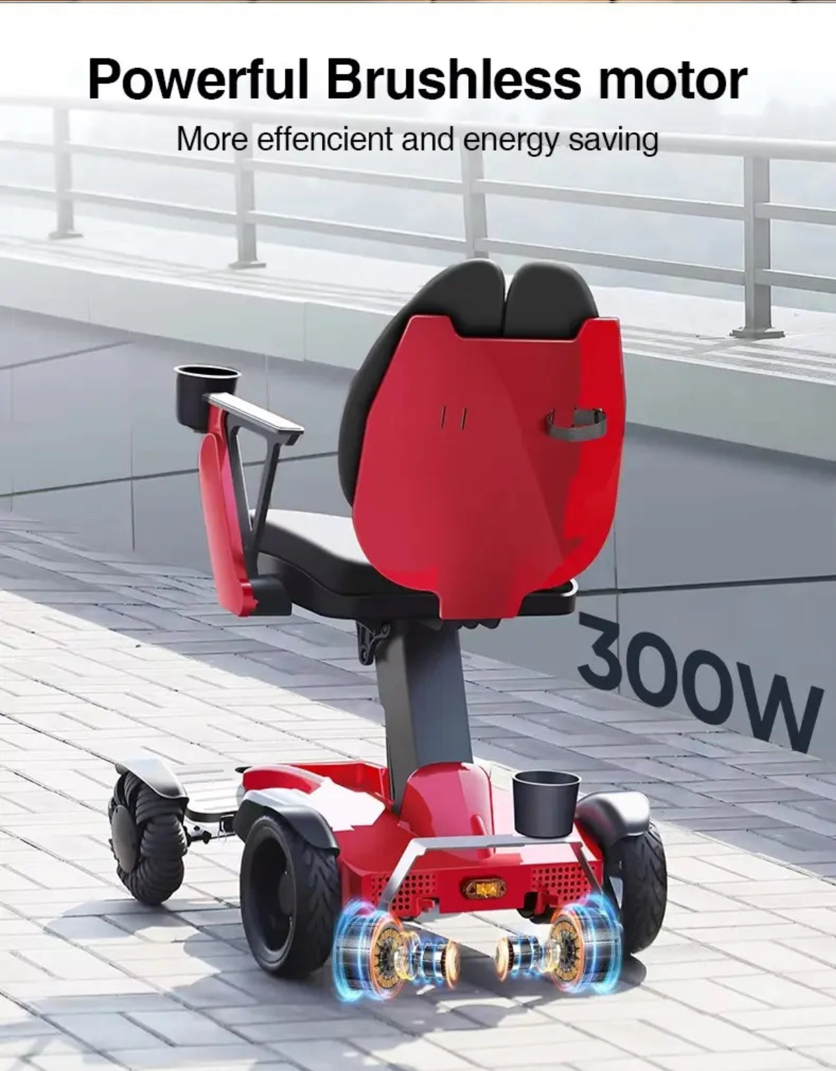 Electric Mobility Chair