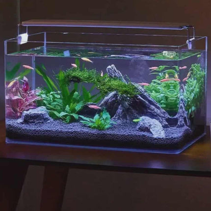 Modern Tempered Glass Wall Aquarium – Elegant Built-In Fish Tank