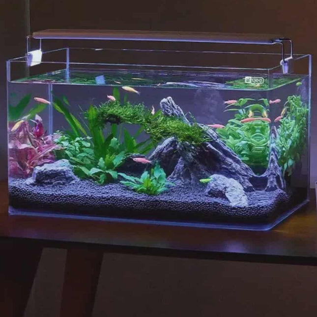 Modern Tempered Glass Wall Aquarium – Elegant Built-In Fish Tank