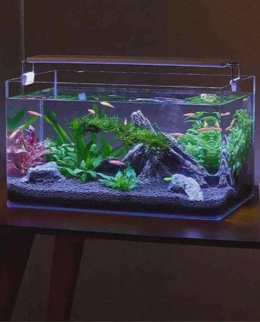 Modern Tempered Glass Wall Aquarium – Elegant Built-In Fish Tank