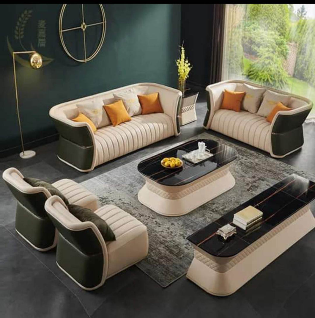 Italian Luxury Living Room Sofa Set 1,1,2,3 Seater Including Coffee table and TV Rack