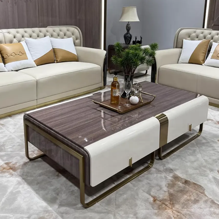 Luxury Gold Accent Sofa - Elegant Italian Design, Premium Leather with Stainless Steel Frame