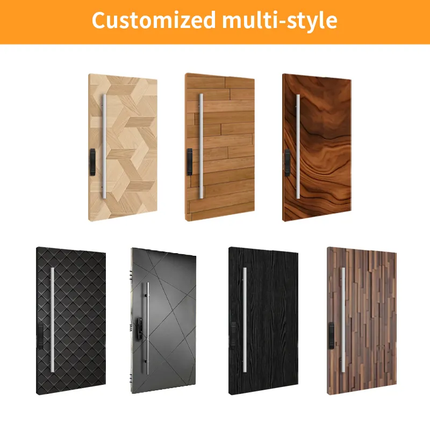 Denun Austria Modern Aluminum Alloy Steel Aluminum Stainless Amazing Door Panel Design Hot Sale Entrance Entry Solid Pivot Door