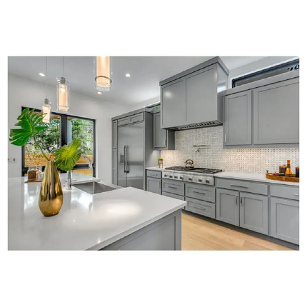 Ace Modern Kitchen Design Kitchen Cabinet Dustbin Glass Cabinets for Kitchen Walls Island Cabinets