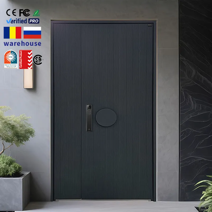 Denun Austria Modern Aluminum Alloy Steel Aluminum Stainless Amazing Door Panel Design Hot Sale Entrance Entry Solid Pivot Door