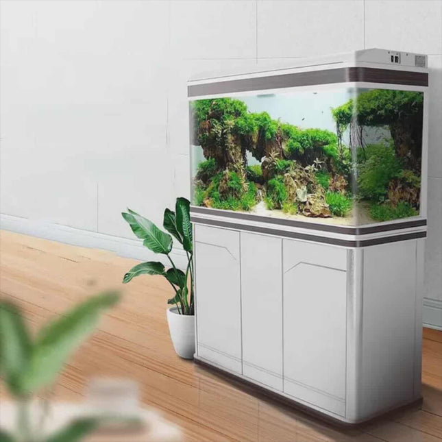 Large Transparent Acrylic Fish Tank – 200 Gallon Eco-Friendly Aquarium with Bullet Front