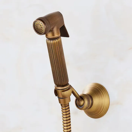 Bronze shower head with flexible hose on a white background